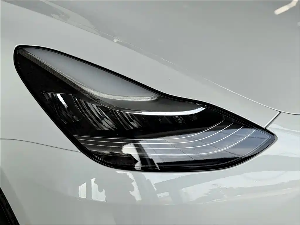 Model 3 2019 Standard Range Plus RWD