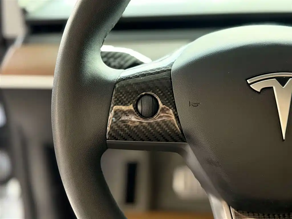 Model 3 2019 Standard Range Plus RWD