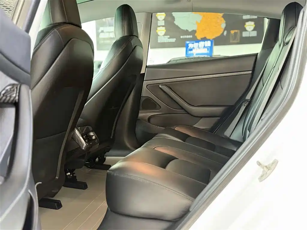 Model 3 2019 Standard Range Plus RWD
