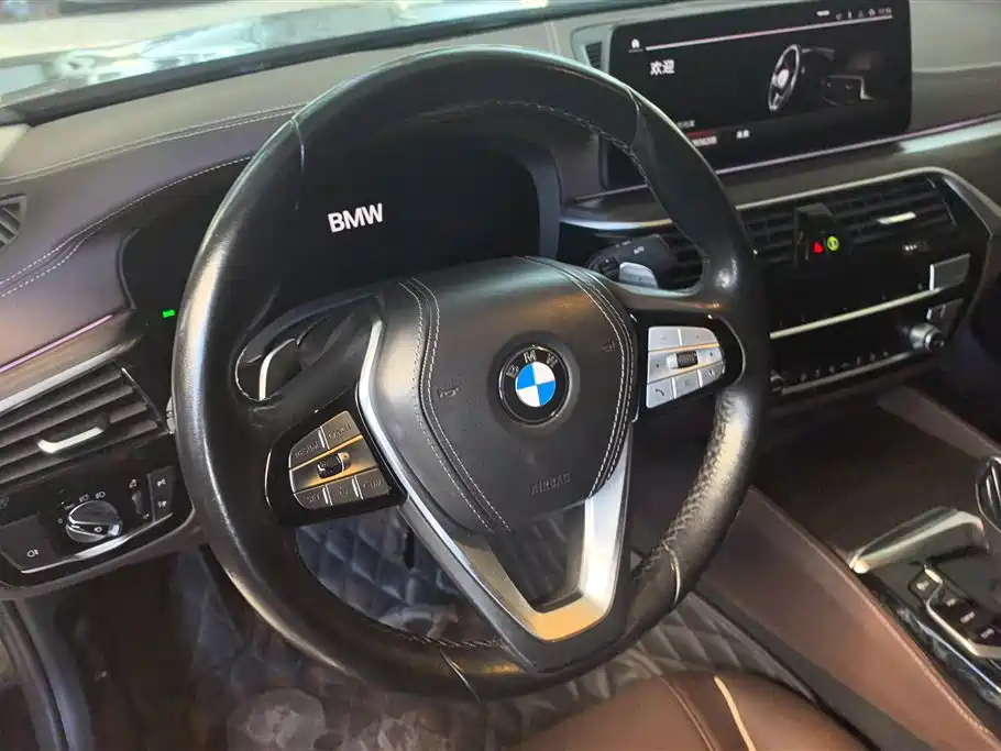 BMW 5 Series 2021 530Li xDrive Luxury Package - фото 15