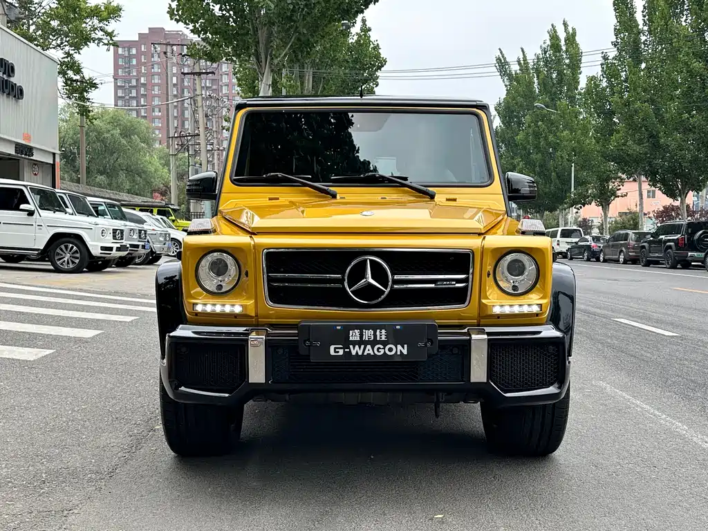 Mercedes-Benz AMG G 63 Wild Limited Edition 2015