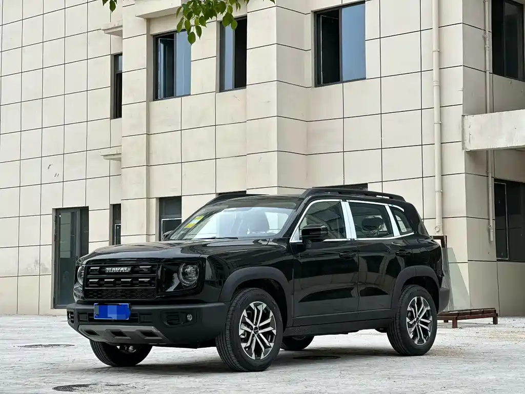 Haval Big Dog 2026 1.5T DCT Border Collie Edition
