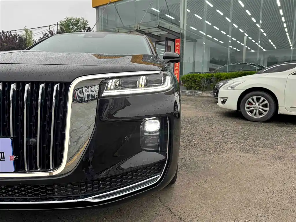 Hongqi H9 2020 3.0T Zhilian Qichang Edition