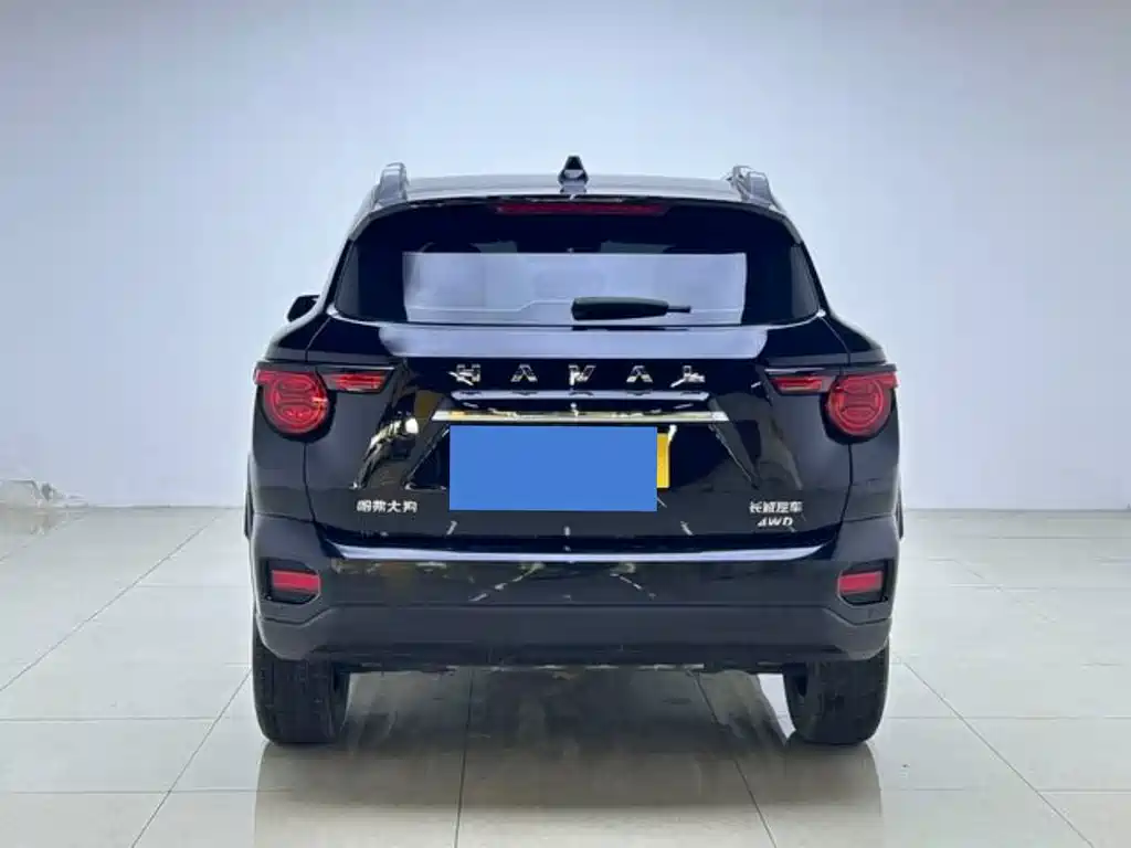 Haval Big Dog 2024 2.0T DCT Chinese Rural Dog Edition