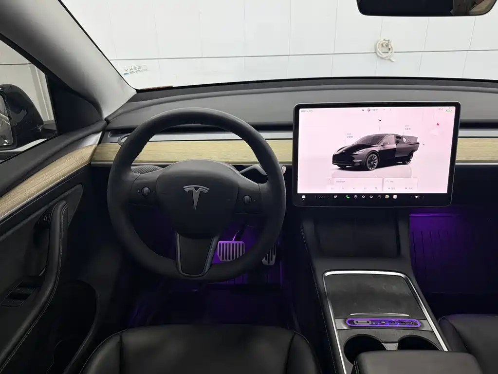 Model Y 2022 Refresh Rear-Wheel Drive