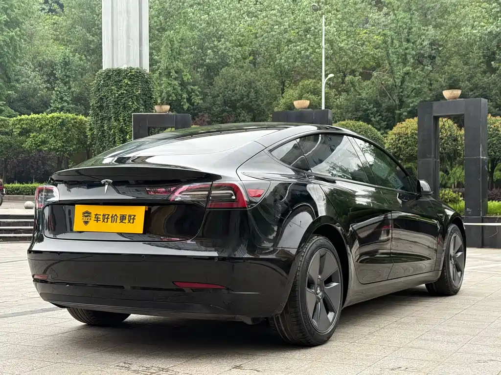 Tesla Model 3 2021 Standard Range Plus RWD
