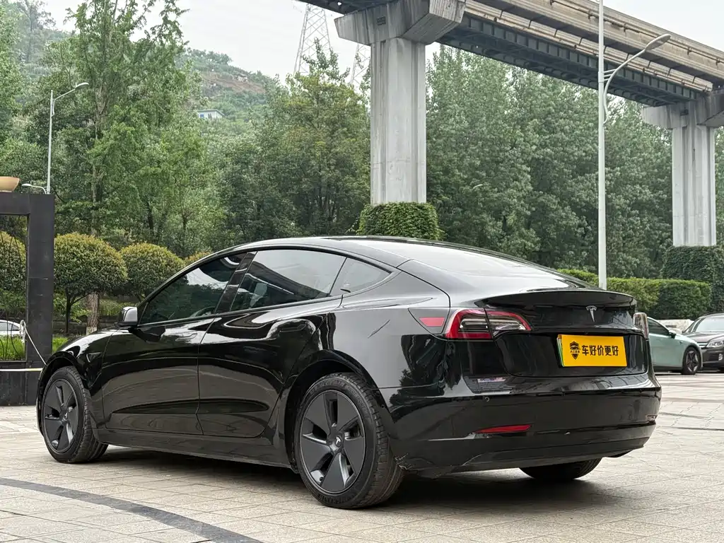 Tesla Model 3 2021 Standard Range Plus RWD