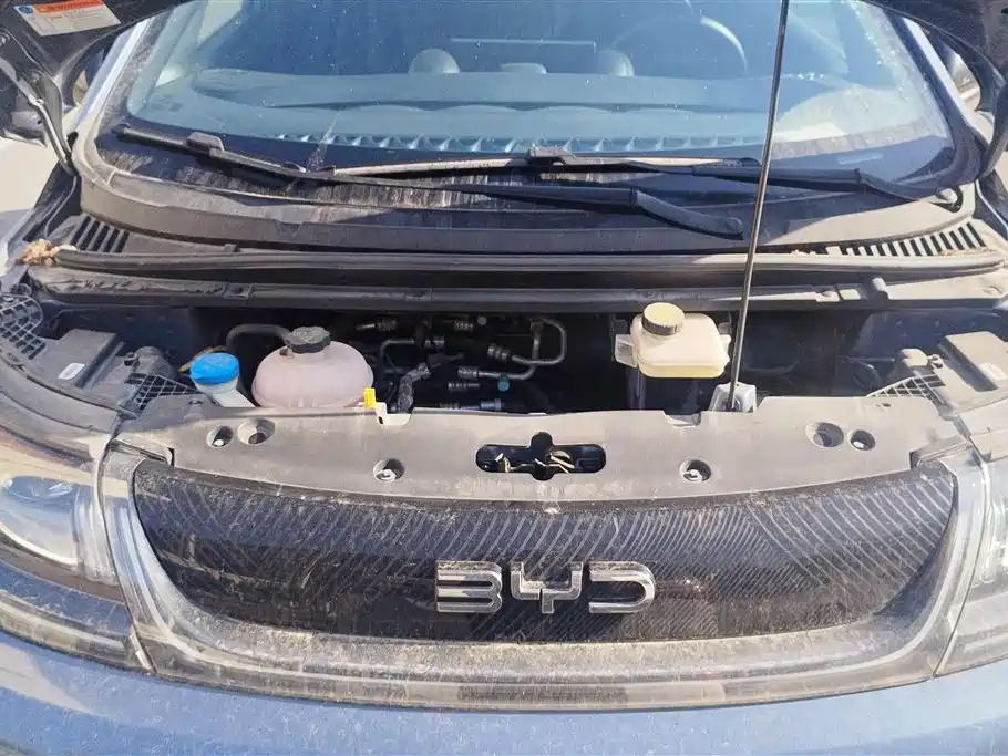 BYD Dolphin 2024 Honor Edition 420km Free Edition
