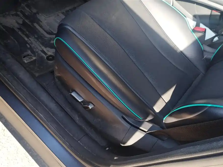 BYD Dolphin 2024 Honor Edition 420km Free Edition