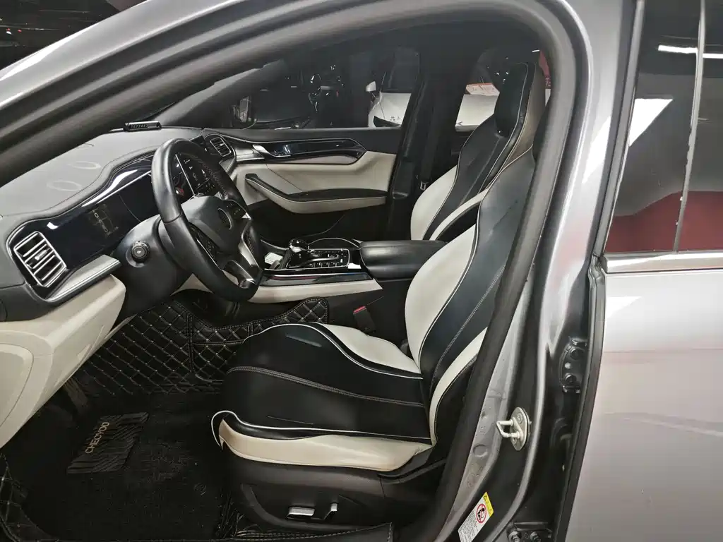 BYD Qin PLUS 2021 EV 500KM Luxury Edition