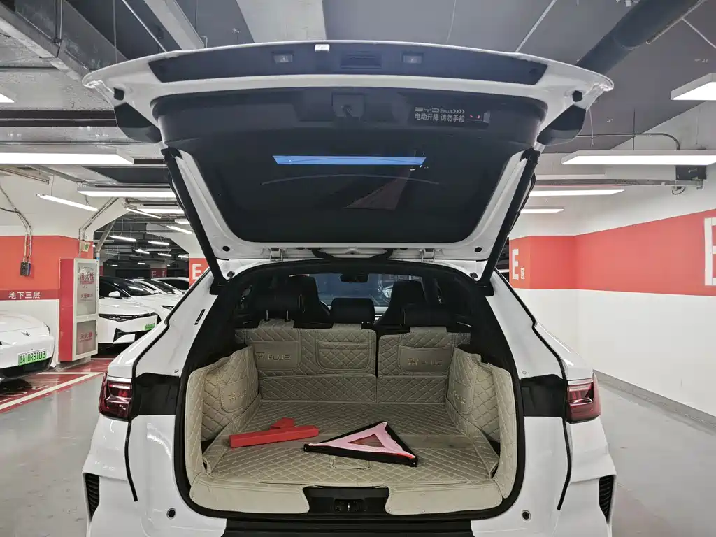 BYD Song PLUS EV 2021 Flagship