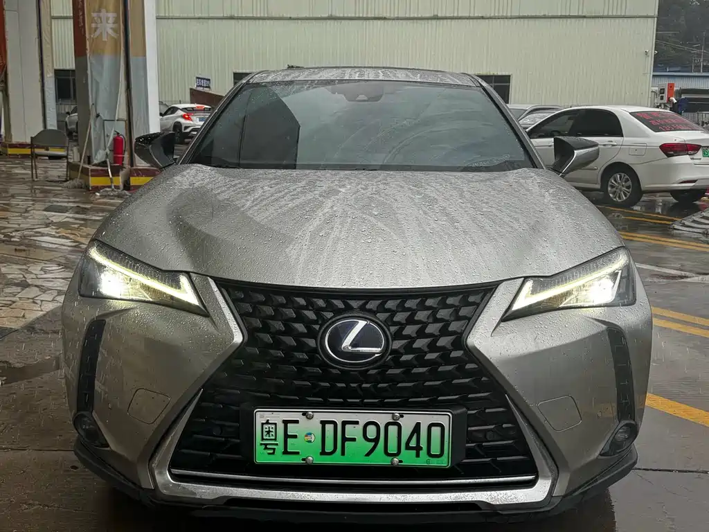 Lexus UX 300e