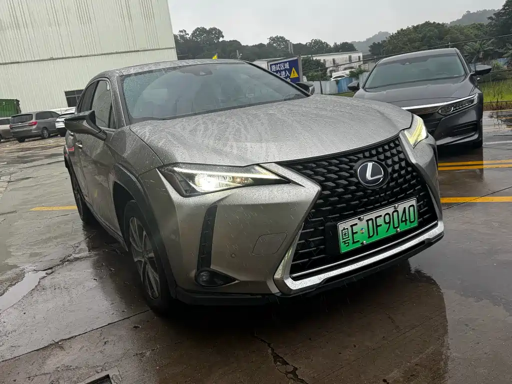 Lexus UX 300e