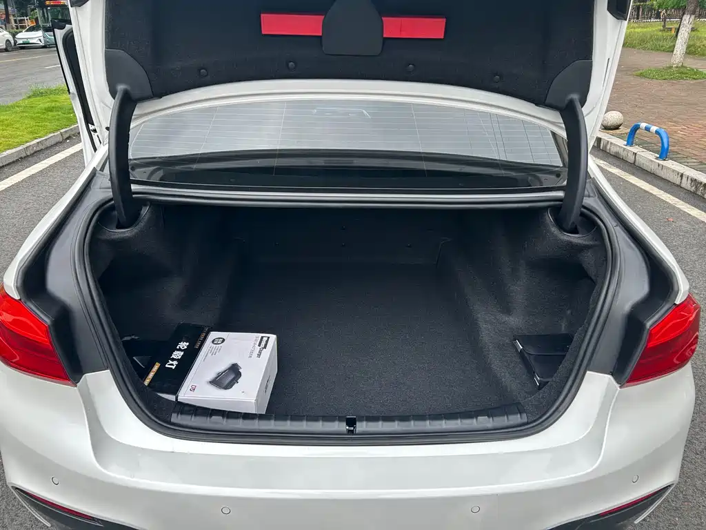 BMW 5 Series 2019 530Li xDrive M Sport Package