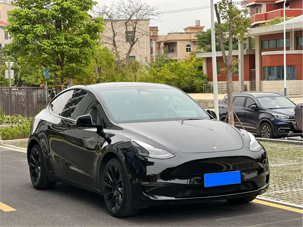 Tesla Model Y 2022 Rear-Wheel Drive