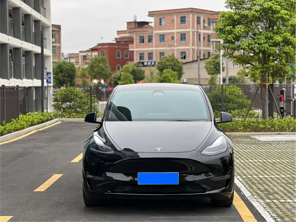 Tesla Model Y 2022 Rear-Wheel Drive