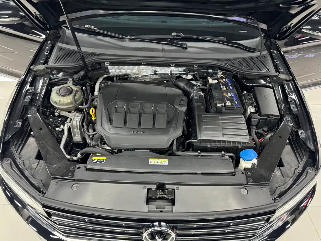 Volkswagen Magotan 2021 330TSI DSG 30th Anniversary Edition