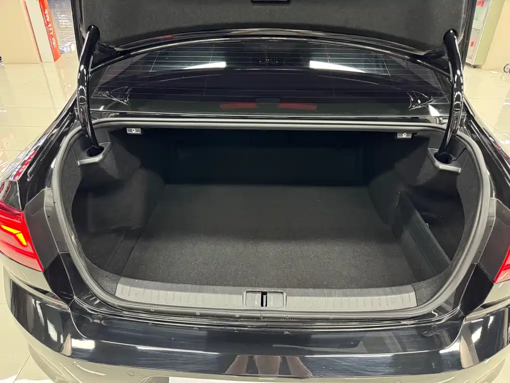 Volkswagen Magotan 2021 330TSI DSG 30th Anniversary Edition