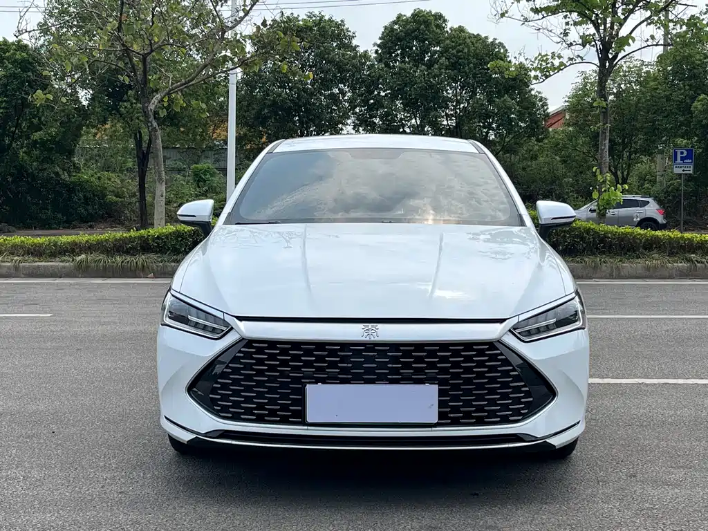 BYD Qin PLUS 2021 DM-i 120KM Noble Edition
