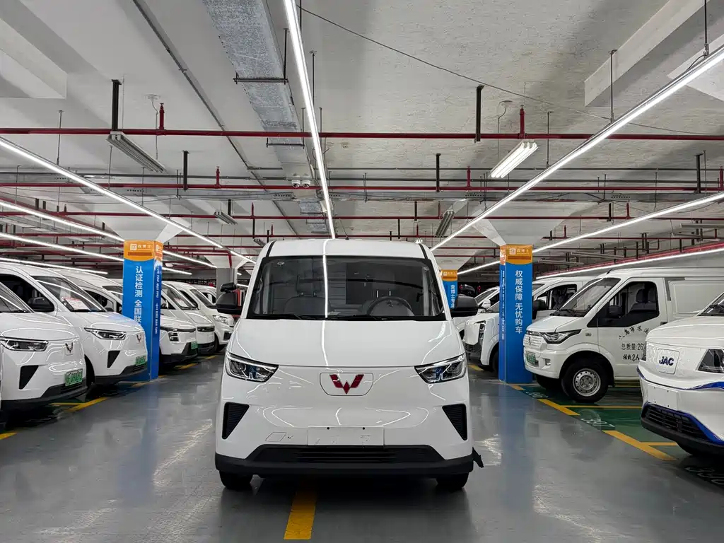 Wuling Yangguang 2024 300km Comfort Edition Panel Van 60kW