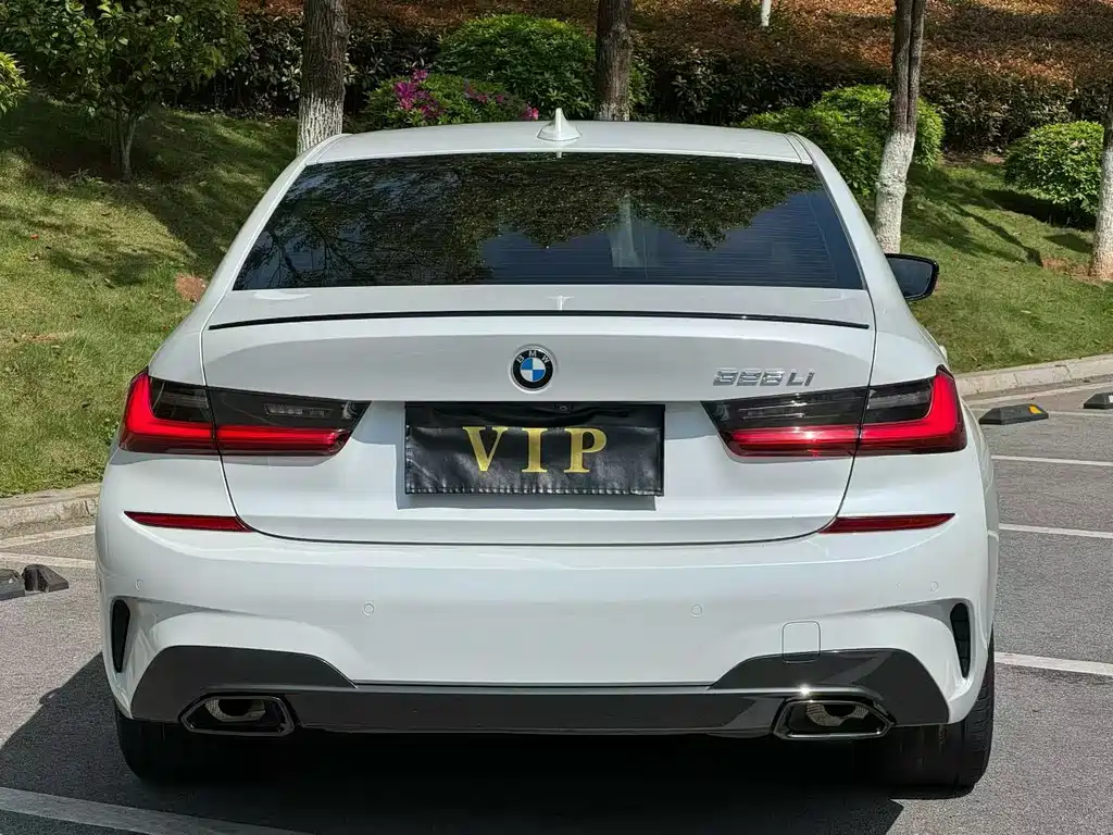 BMW 3 Series 2020 325Li M Sport Night Edition - фото 8