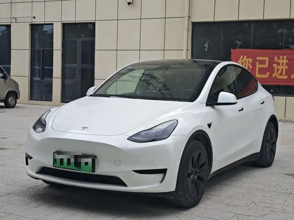 Tesla Model Y 2022 Rear-Wheel Drive