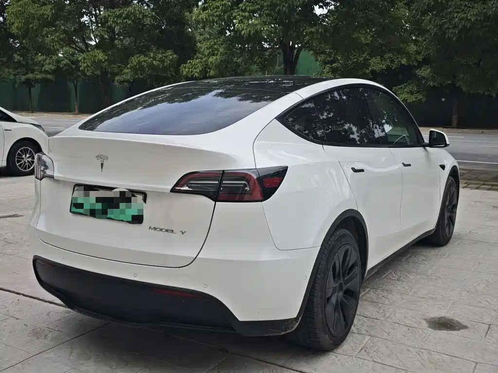 Tesla Model Y 2022 Rear-Wheel Drive
