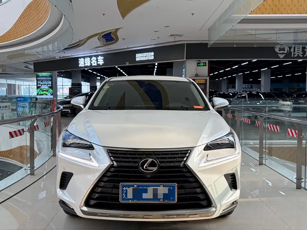 Lexus NX 2020 200 FWD Fengxing Edition China V