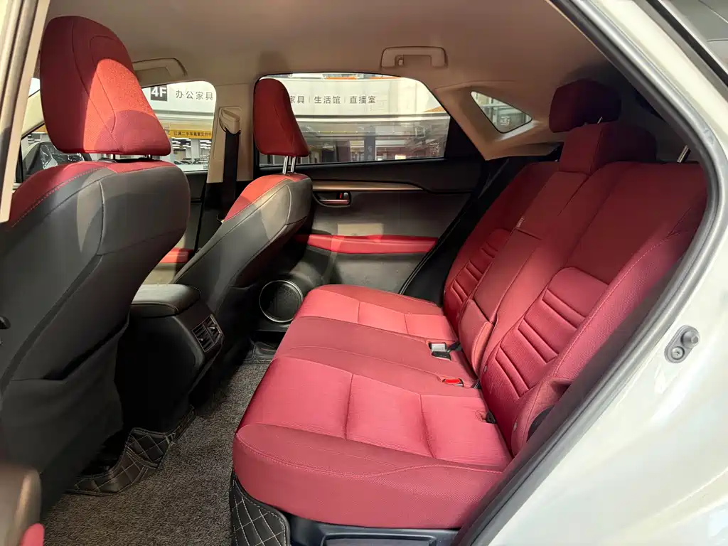 Lexus NX 2020 200 FWD Fengxing Edition China V