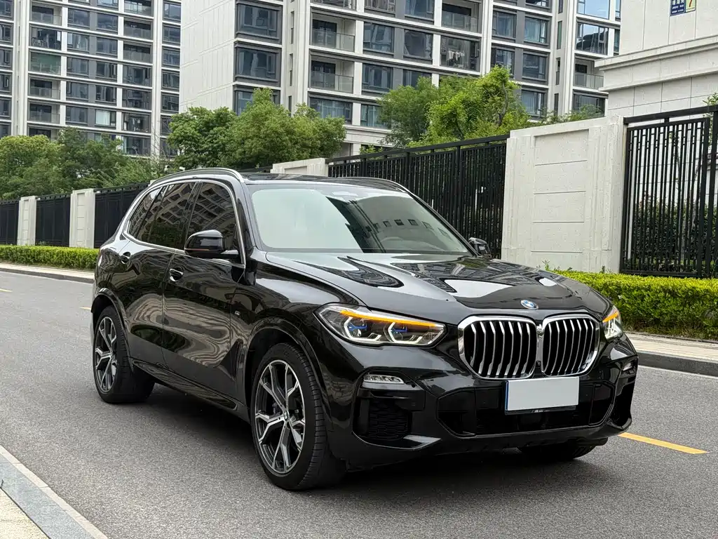 BMW X5 2019 xDrive40i Premium M Sport Package