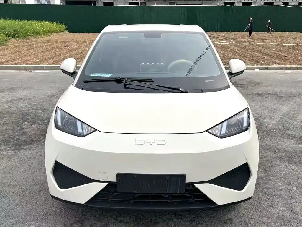 Seagull 2025 Intelligent Driving Edition 305km Vitality Edition