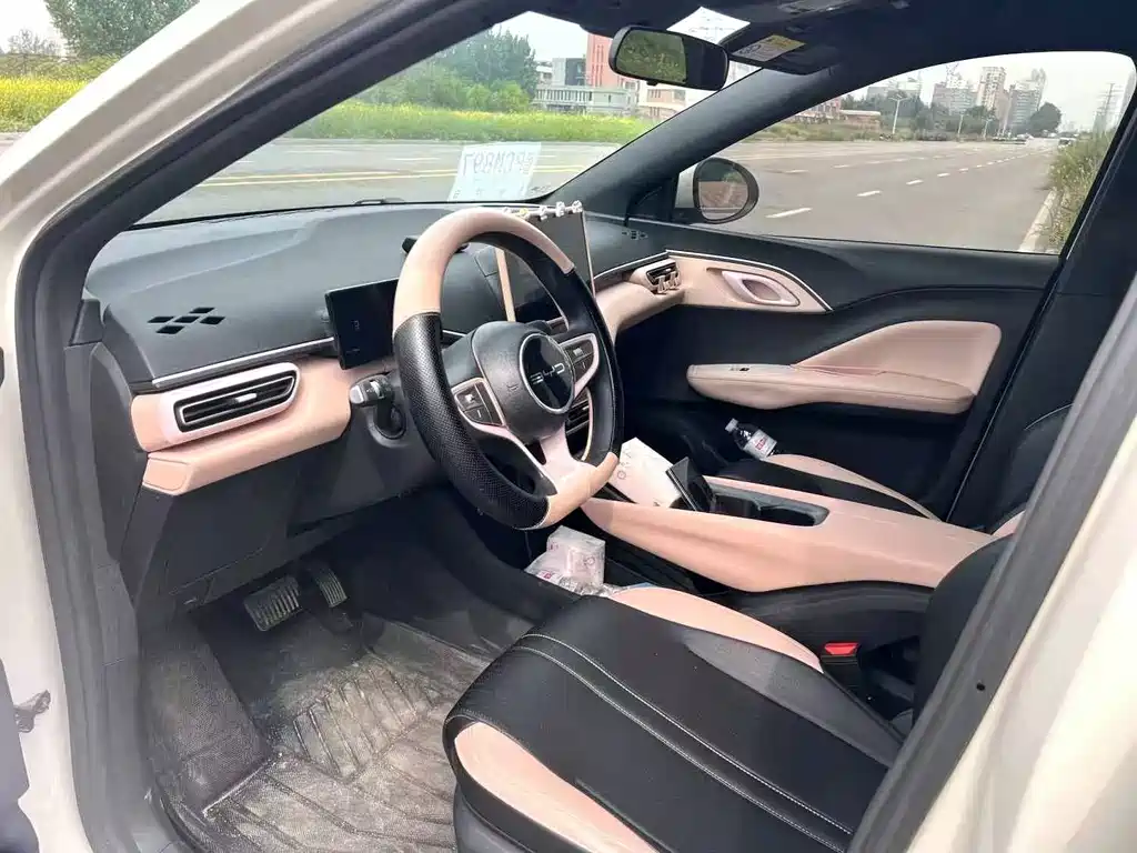 Seagull 2025 Intelligent Driving Edition 305km Vitality Edition
