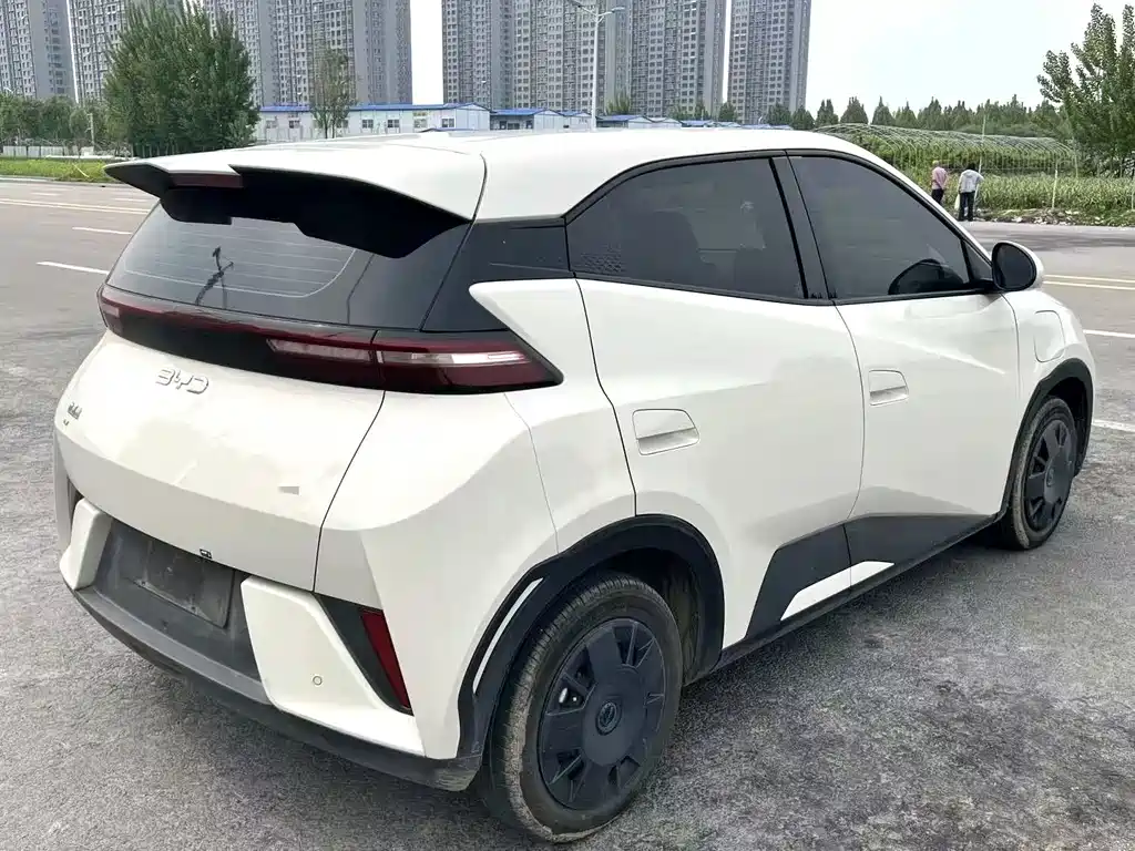 Seagull 2025 Intelligent Driving Edition 305km Vitality Edition