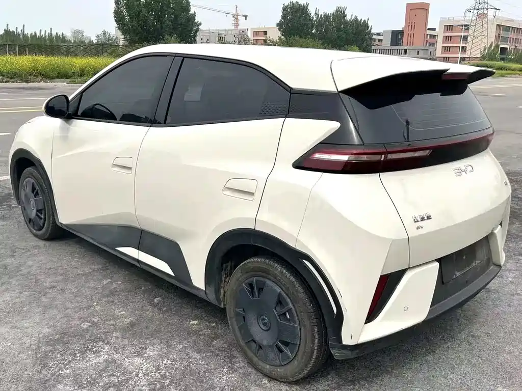 Seagull 2025 Intelligent Driving Edition 305km Vitality Edition