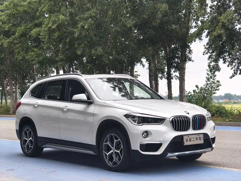BMW X1 2019 sDrive18Li Premium Edition