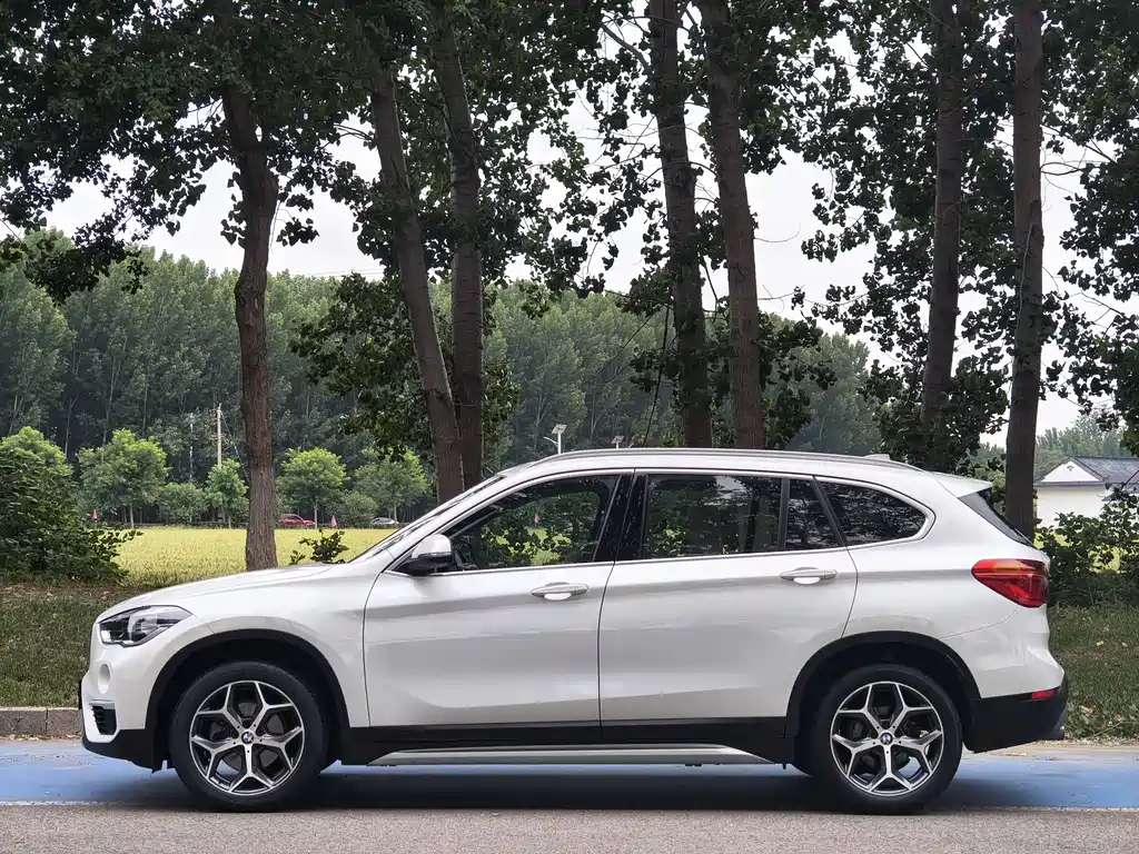 BMW X1 2019 sDrive18Li Premium Edition