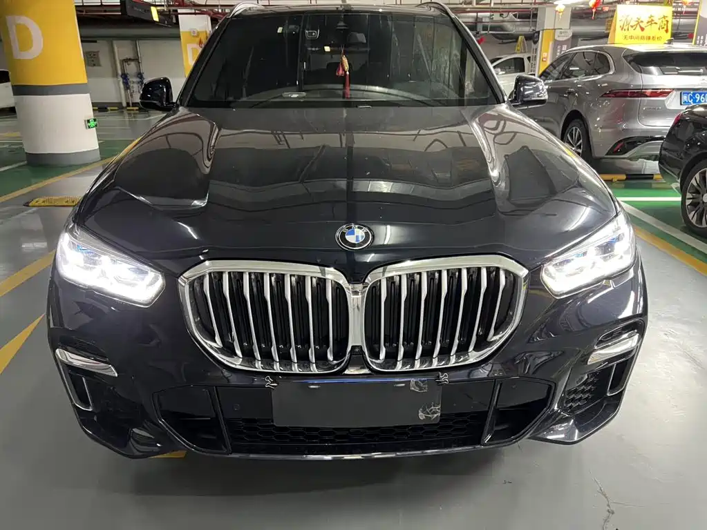 BMW X5 2022 xDrive 40Li M Sport Package - фото 2