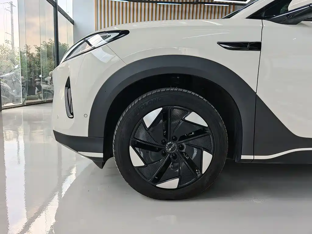 Sea Lion 05 EV 2025 520KM Flagship Intelligent Navigation Edition
