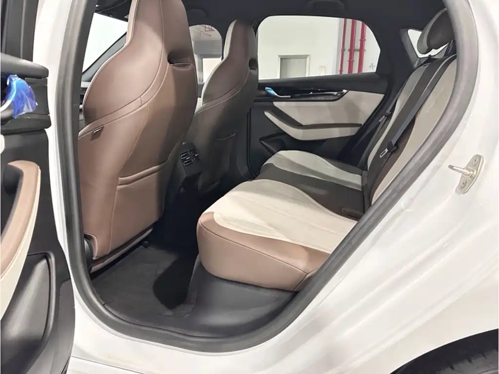 BYD Qin PLUS 2024 Honor Edition DM-i 55KM Leading