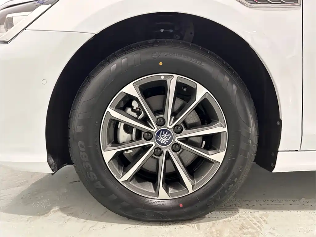 BYD Qin PLUS 2024 Honor Edition DM-i 55KM Leading