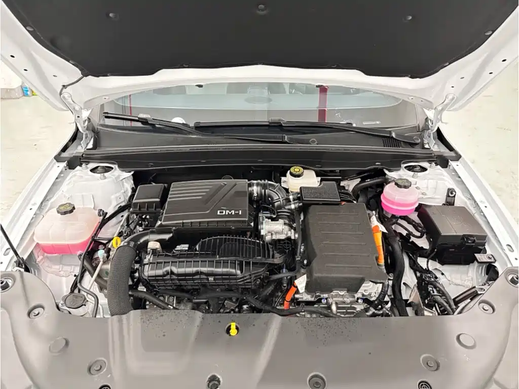 BYD Qin PLUS 2024 Honor Edition DM-i 55KM Leading