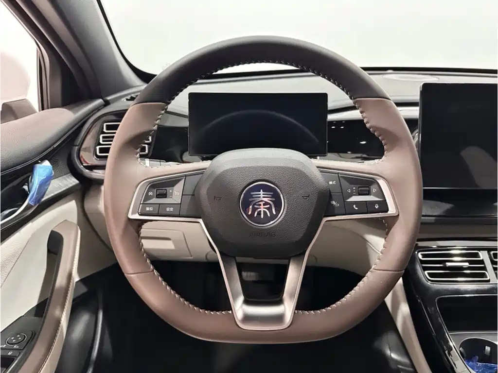 BYD Qin PLUS 2024 Honor Edition DM-i 55KM Leading