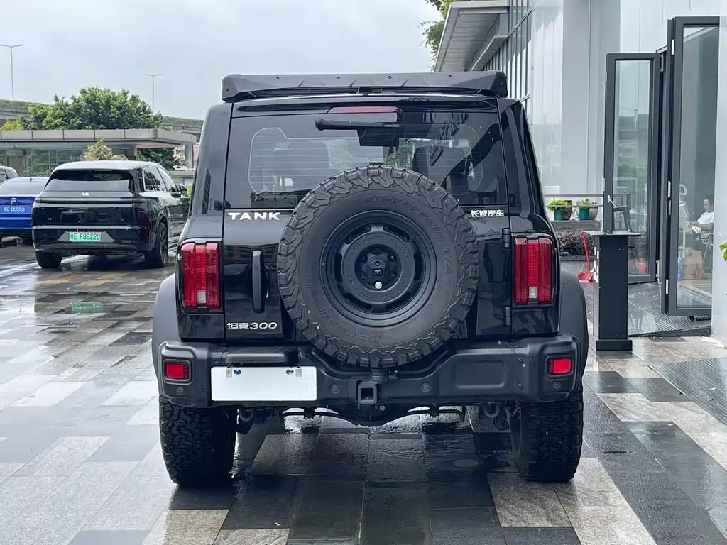Tank 300 2023 2.0T Tieqi 02