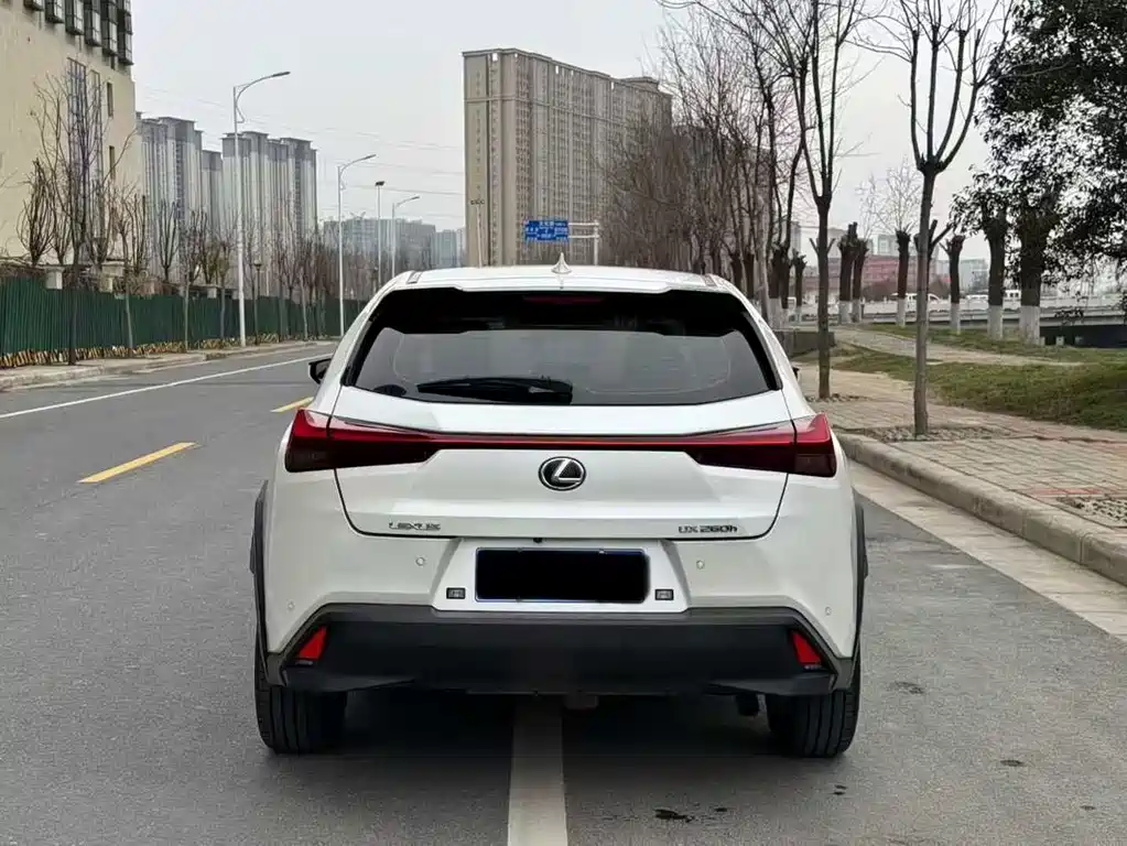 Lexus UX 2020 260h Tan Qu Edition China V