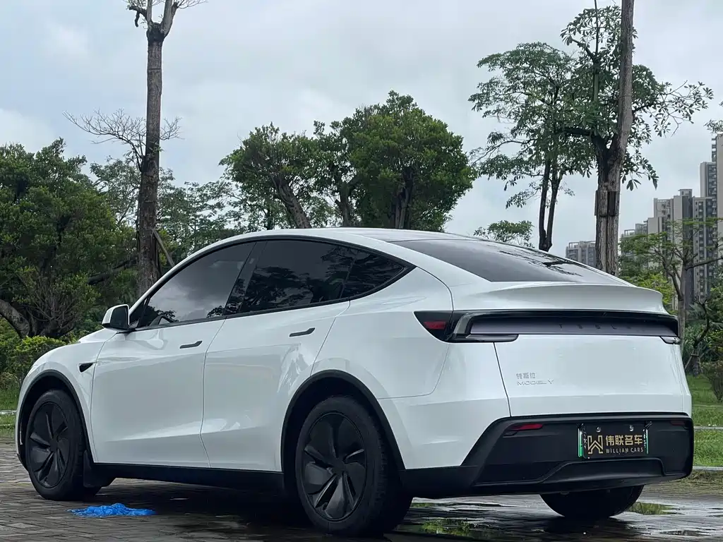Model Y 2025 Rear-Wheel Drive