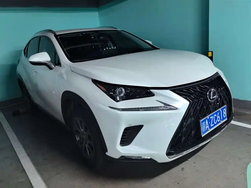 Lexus NX 2020 200 FWD Fengxing Edition China VI