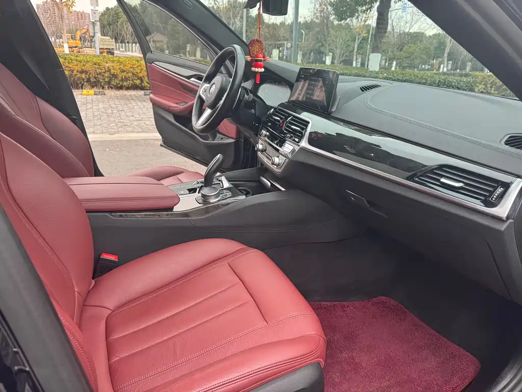 BMW 5 Series 2020 530Li Leading Edition M Sport Package - фото 10