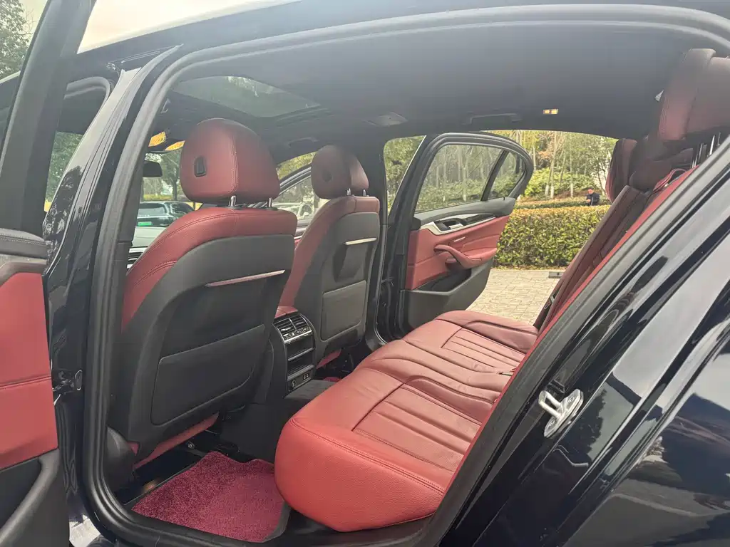 BMW 5 Series 2020 530Li Leading Edition M Sport Package - фото 11