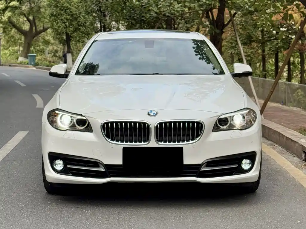 BMW 5 Series 2014 530Li Leading Edition