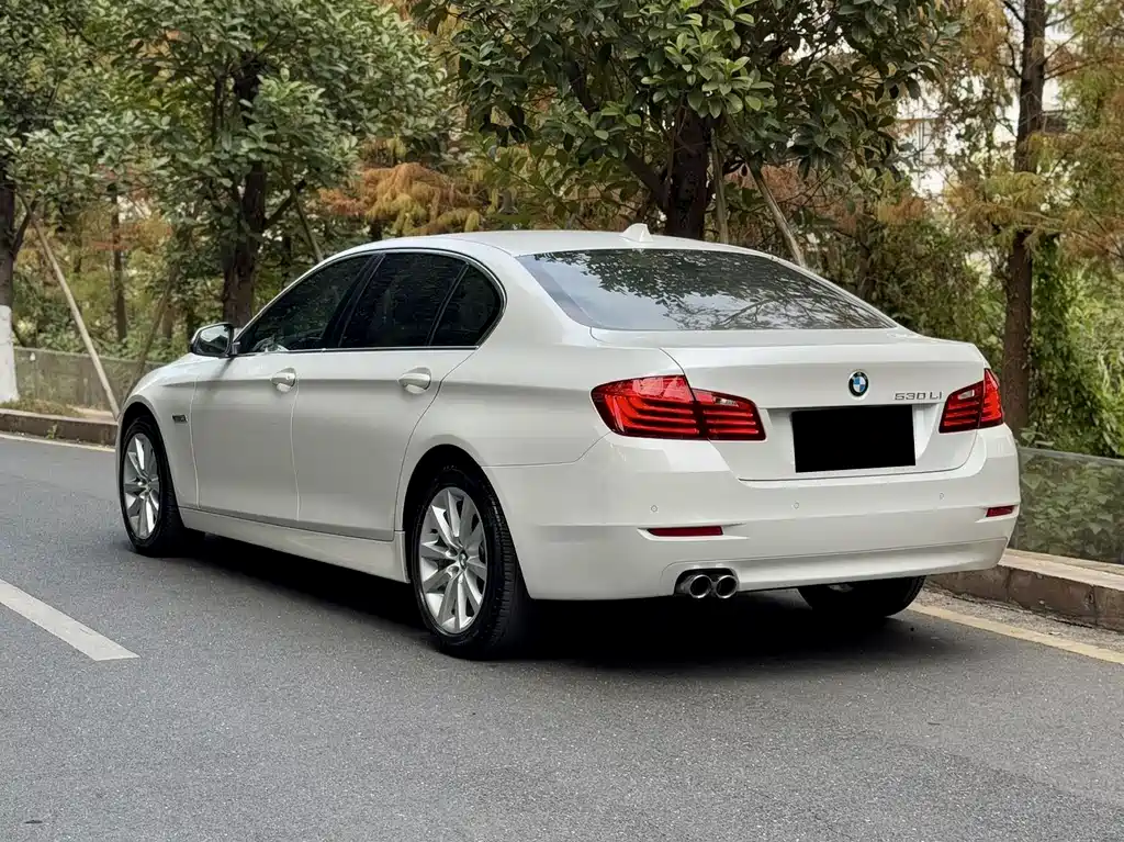 BMW 5 Series 2014 530Li Leading Edition
